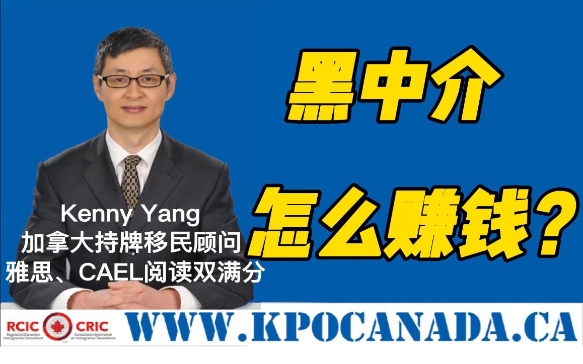 移民中介靠什么赚钱?移民中介的核心竞争力有哪些?哔哩哔哩bilibili