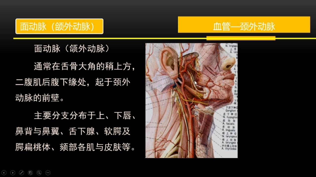 国家I类口腔种植学分哔哩哔哩bilibili