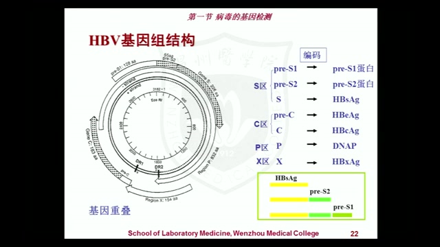 [图]23.HBV和HCV的分子生物学检验