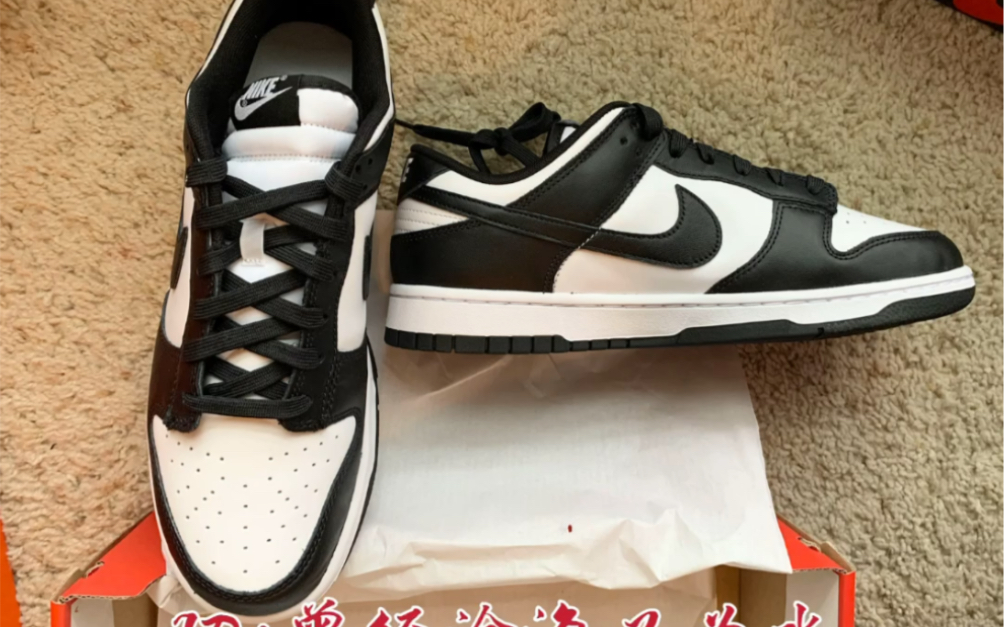 美国耐克Nike Dunk低帮熊猫DD1391 100哔哩哔哩bilibili