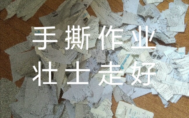 手撕暑假作业,作业没写完的进来