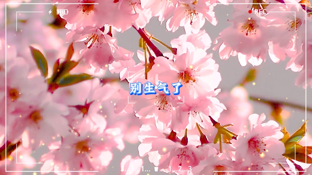 别生气!听我解释嘛