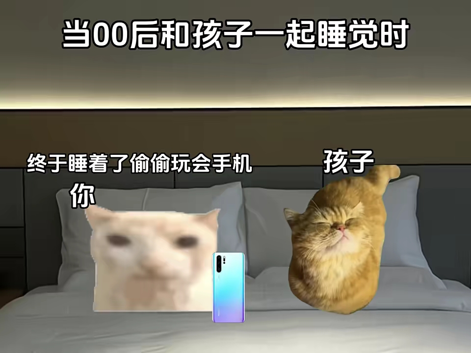 当00后和孩子一起睡觉时 猫meme