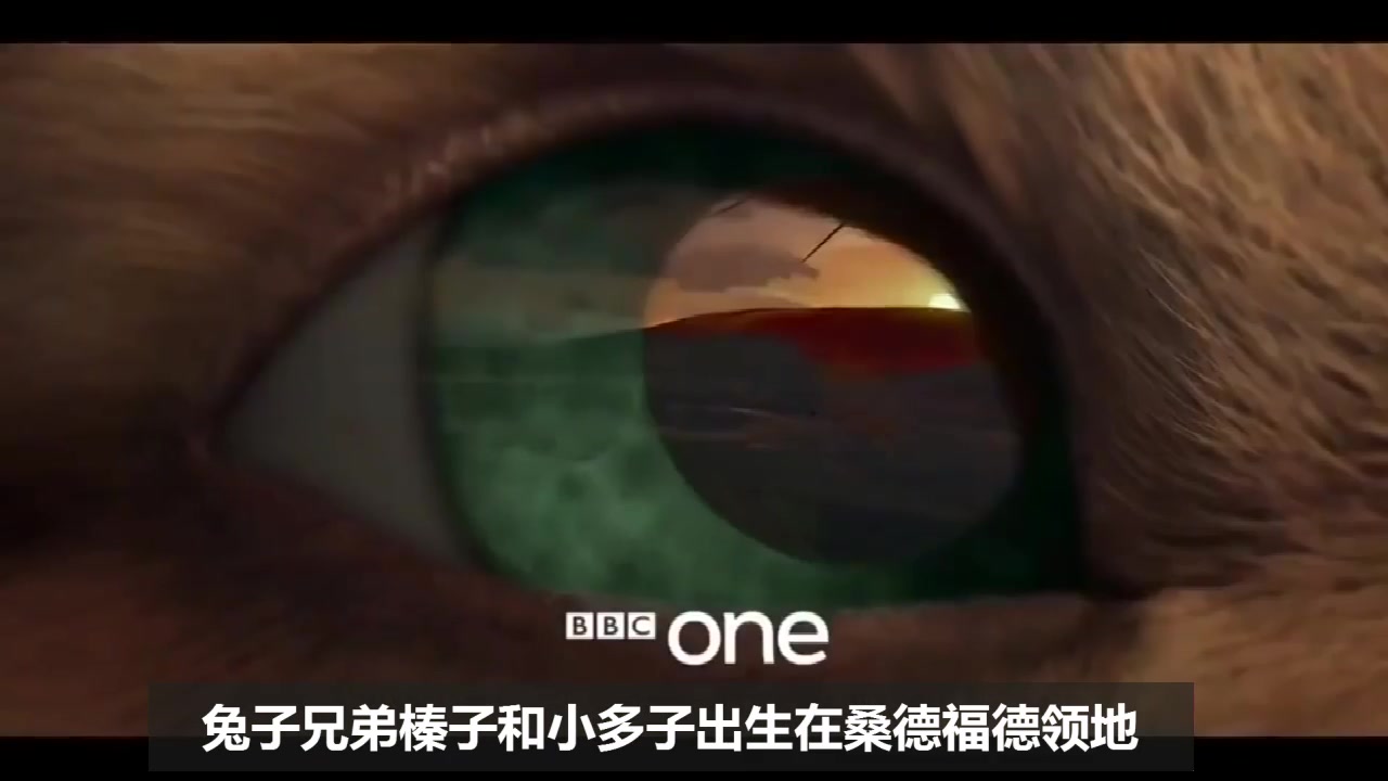 BBC与Netflix合作动画剧《兔子共和国》,奇幻兔世界,小兔子的生存大冒险哔哩哔哩bilibili