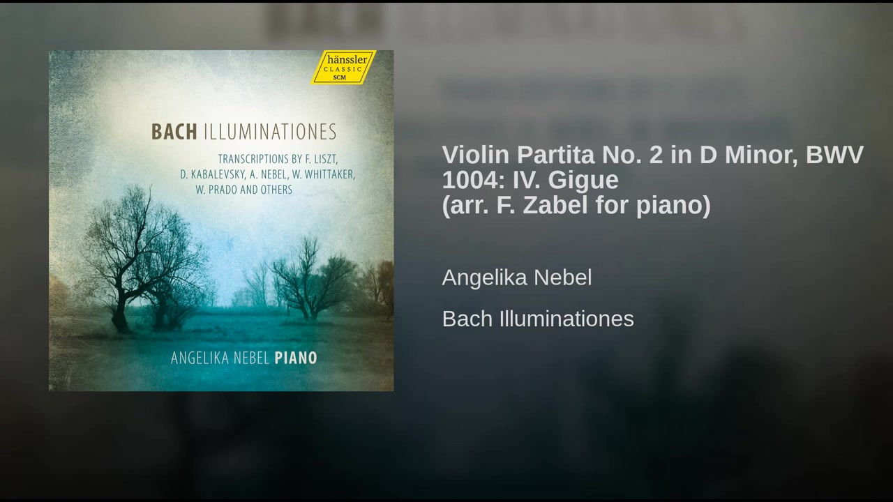 [图]【巴赫】Violin Partita No. 2 in D Minor, BWV 1004: IV. Gigue (arr. Zabel for piano)