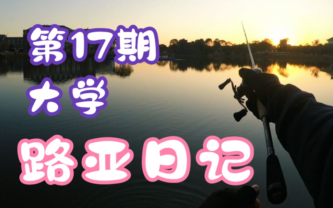 在学校人工湖的夕阳下钓鱼有多浪漫哔哩哔哩bilibili