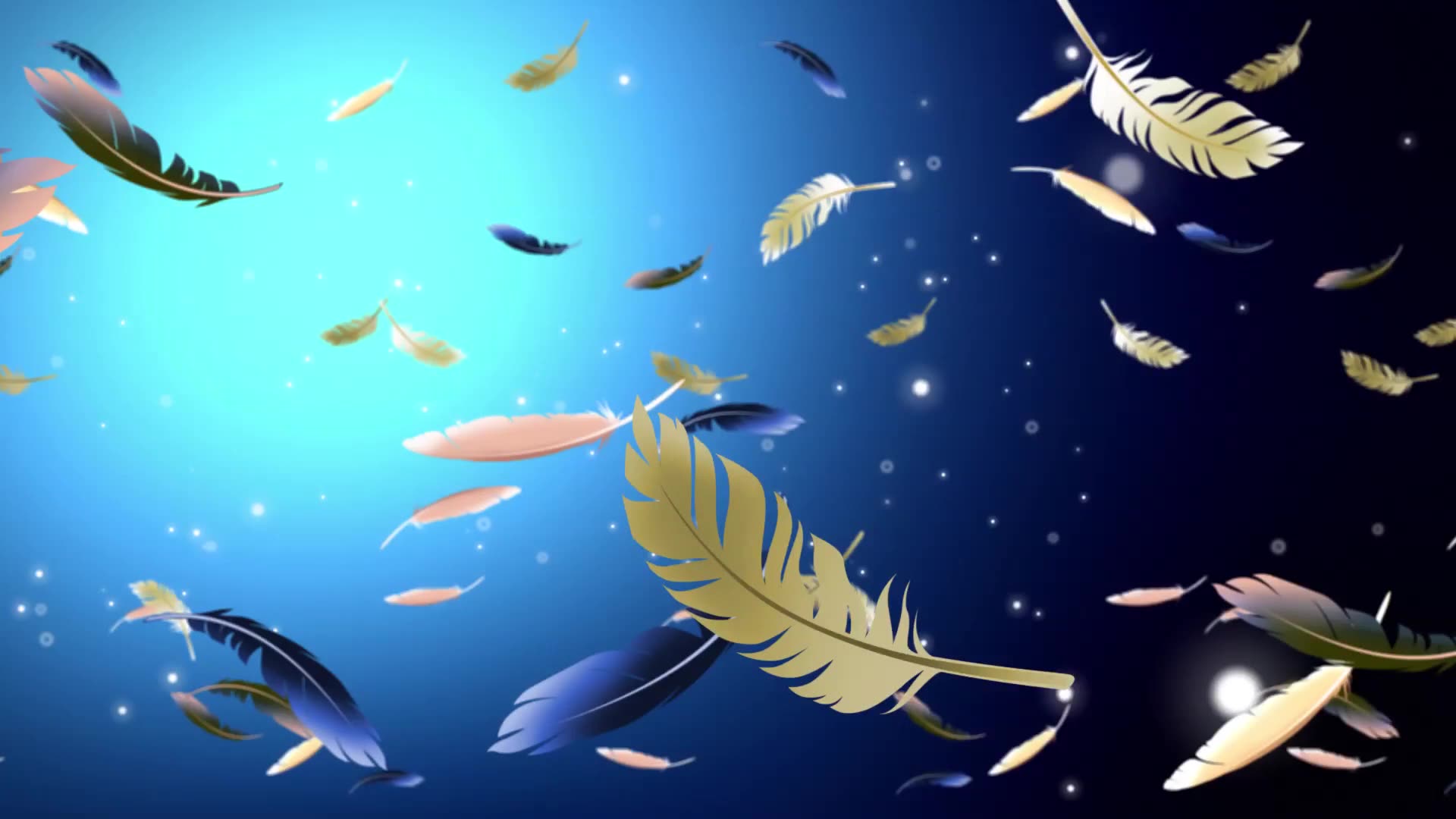 羽毛飞舞飘落高清视频背景素材026_哔哩哔哩 (゜-゜)つロ 干杯~-bili