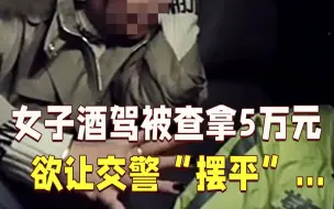 Tải video: 女子酒驾被查 欲拿5万元让交警“摆平”...