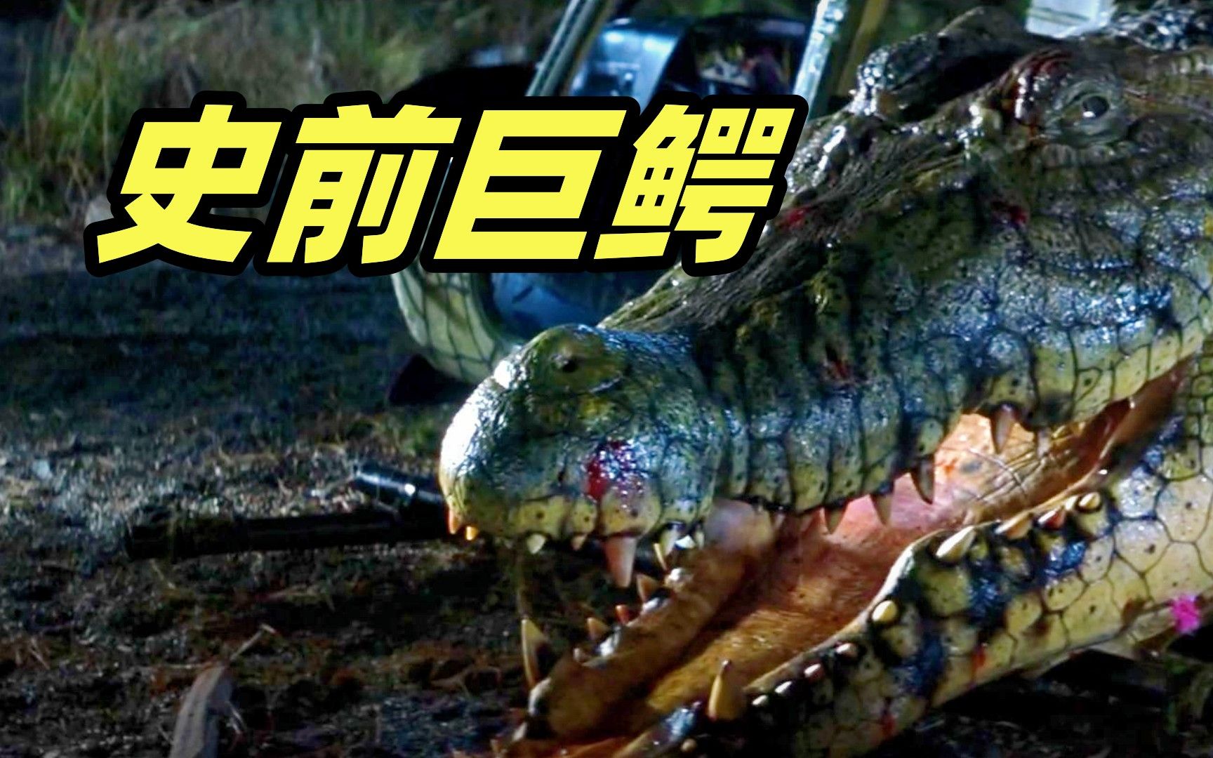 【科普】另类巨鳄——浅谈史前滤食性鳄类 - 哔哩哔哩