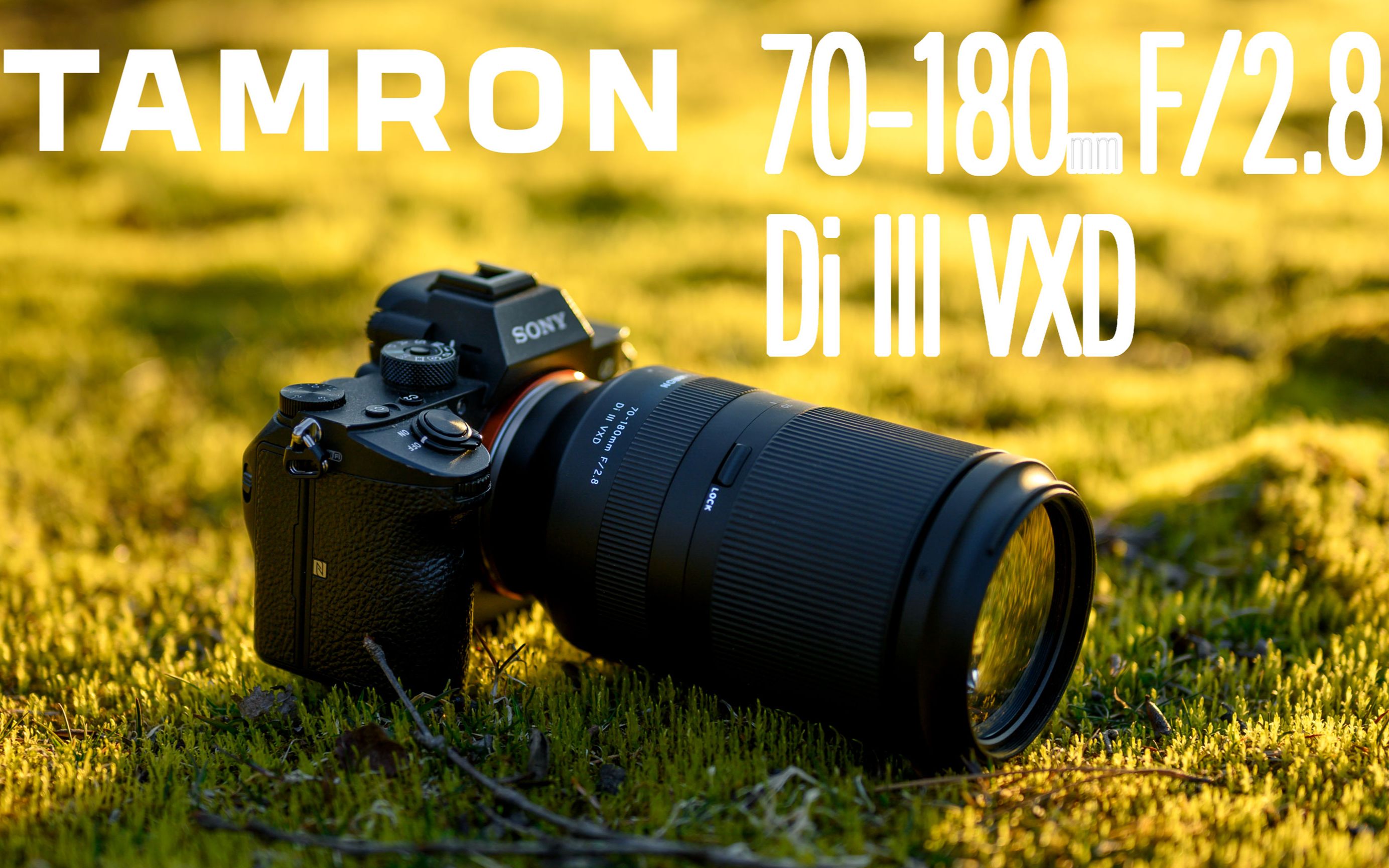 腾龙70-180 f2.8mm能拍出怎样的画面 「预告短片」_哔哩哔哩_bilibili