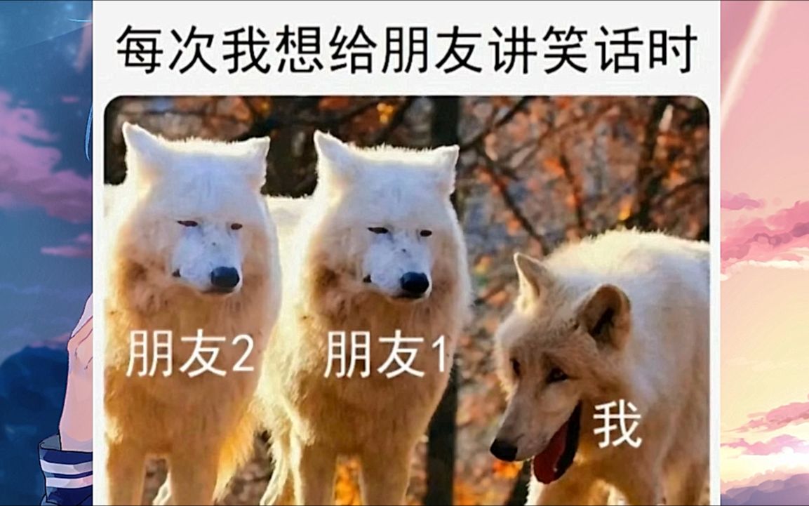 那些笑死人的搞笑图片(~￣▽￣)~ 第167期哔哩哔哩bilibili