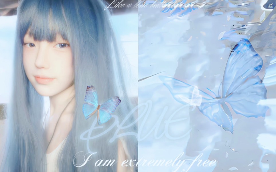 [图]【COLOUR#01】Virtual Electronic Blue Butterfly