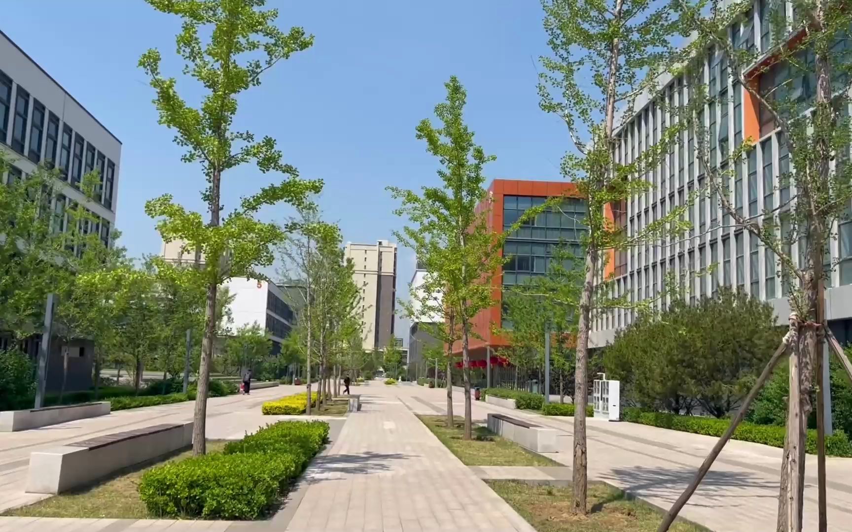 "我们在月季盛放的夏季说再见"【太原五中龙城校区】