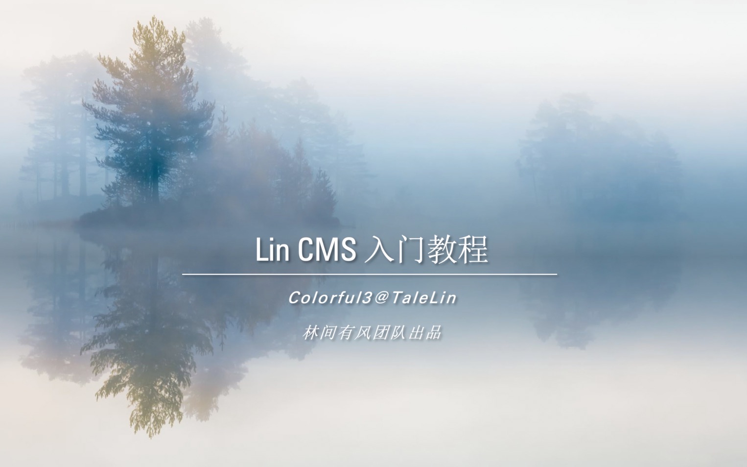 01、LinCMS 入门开场白哔哩哔哩bilibili