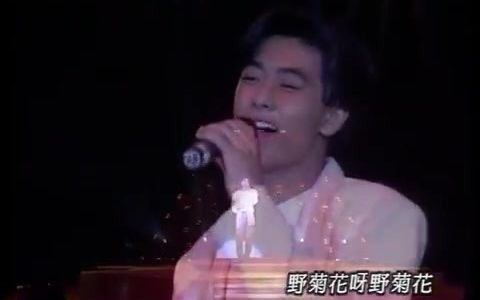 野菊花 林志颖 92年 今年夏天 演唱会版 Jimmy Lin  Wild Chrysanthemum.mp4哔哩哔哩bilibili