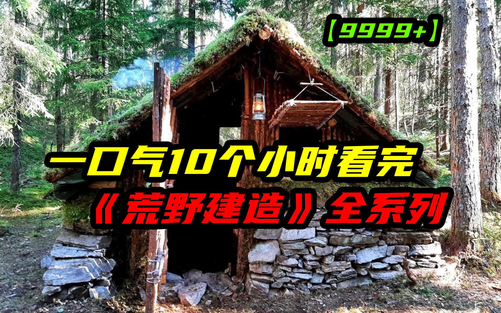 [图]一口气10个小时看完9999+《荒野建造》全系列，看大神如何将荒野变豪宅！助眠长视频完整版，建议收藏观看！！！