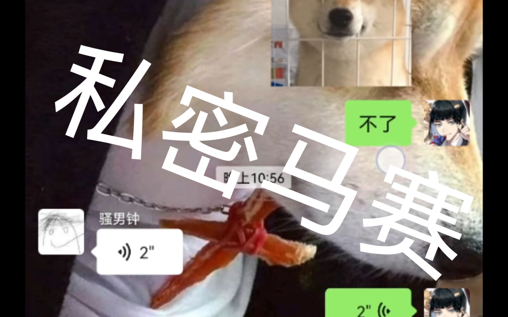 [图]男德真兄弟(doge)