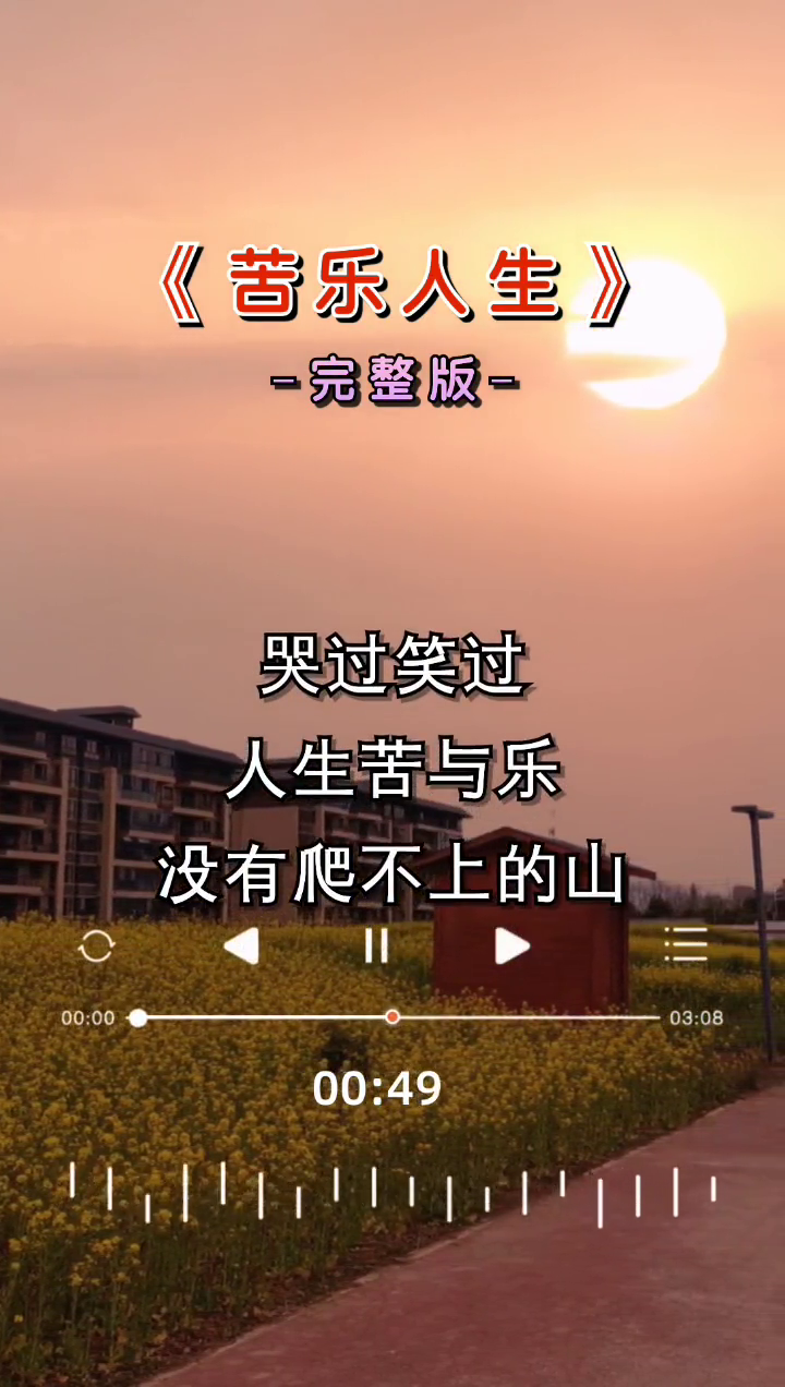 经典歌曲苦乐人生完整版经典音乐库哔哩哔哩bilibili