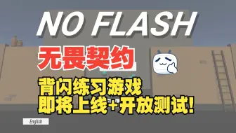 《NoFlash》无畏契约背闪游戏即将上线+开放测试！