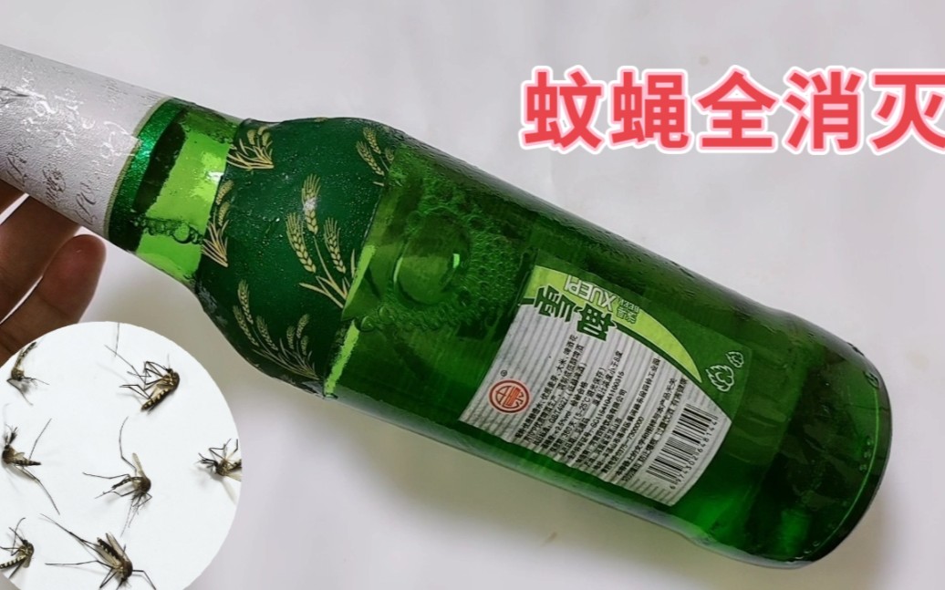夏季驱赶蚊虫只用一瓶啤酒家中蚊子全部消灭比蚊香还要实用
