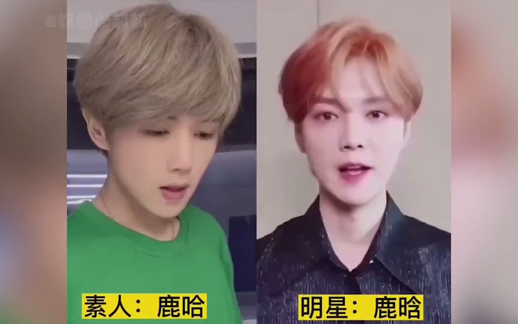 跳舞大叔酷似黄磊,唐梓拿捏丁禹兮表情
