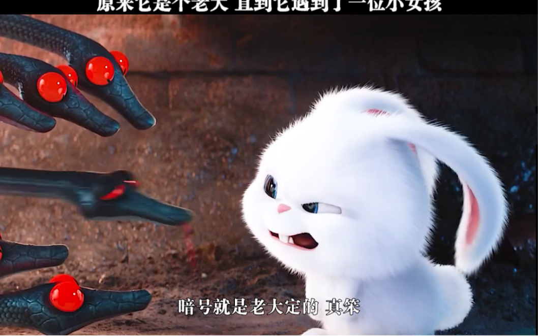 这么可爱的兔子,居然是黑帮老大,兔老大也太可爱了