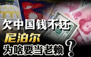 Download Video: 想赖账中国2.16亿美元！欠钱不还的尼泊尔，究竟有多穷？