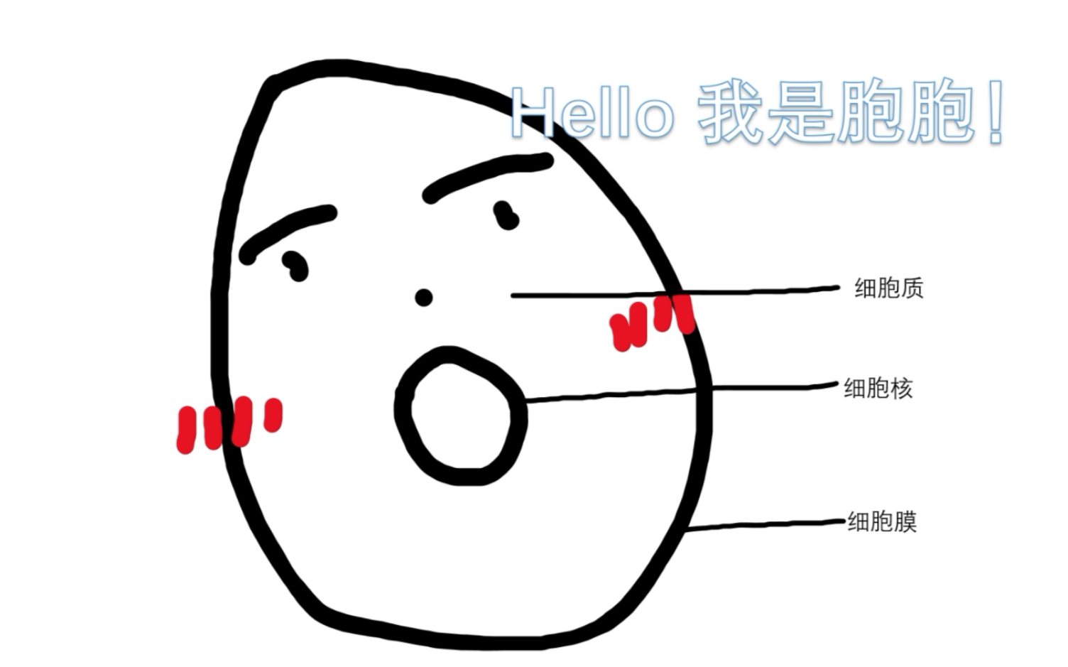 [智商缺失的美]细胞的西天之路——端粒学说哔哩哔哩bilibili