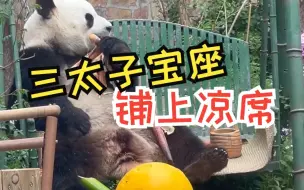 Скачать видео: 这下不怕铁秋千烫屁股了！萌兰喜提“宝座”凉席！