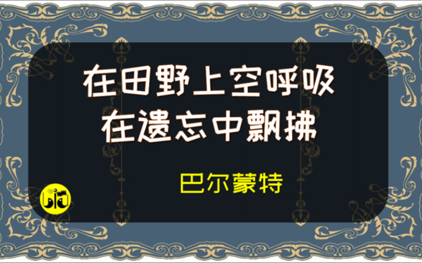 《我是自由的风》巴尔蒙特【为你读诗 339】哔哩哔哩bilibili