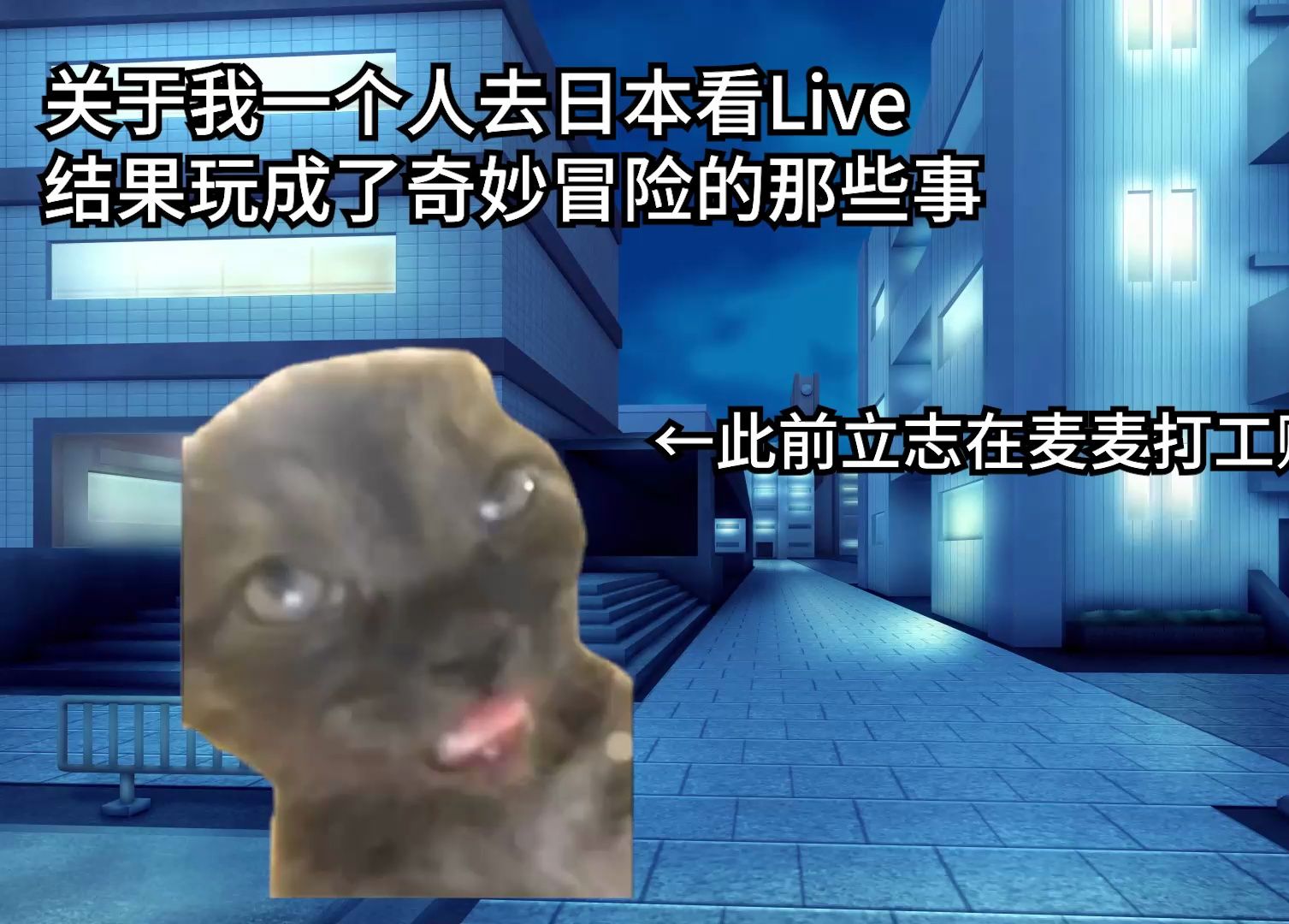 【猫meme】诶?让我一个人去看Live?真的假的?(出发篇)哔哩哔哩bilibili