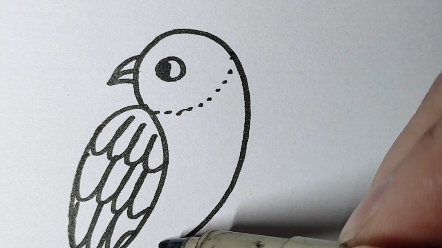 黄莺怎么画简单又漂亮图片