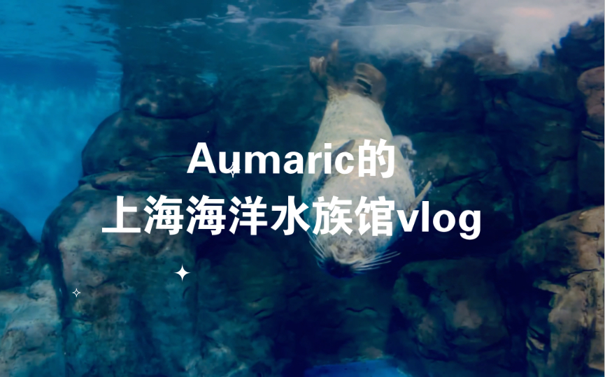 [图]Aumaric的上海海洋水族馆vlog