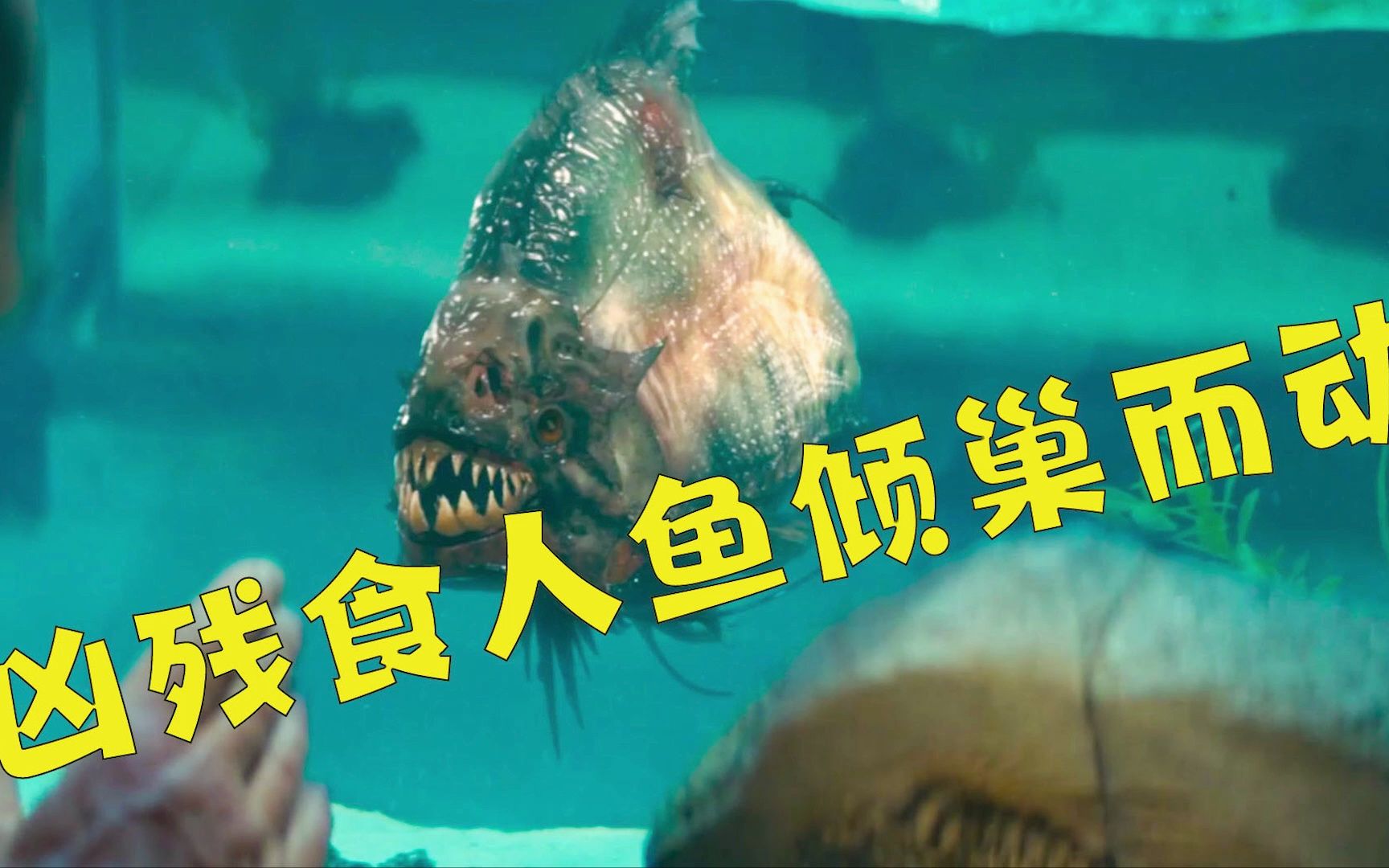 恐怖远古生物《食人鱼》疯狂肆虐接近海边的人类