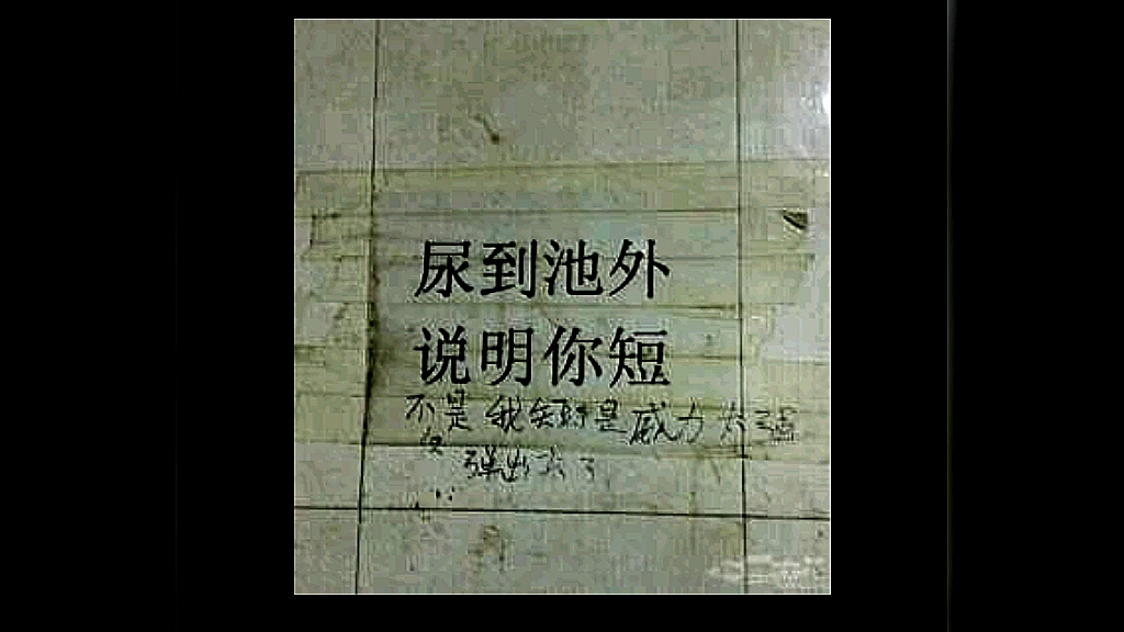 世界上最聪明的人哔哩哔哩bilibili