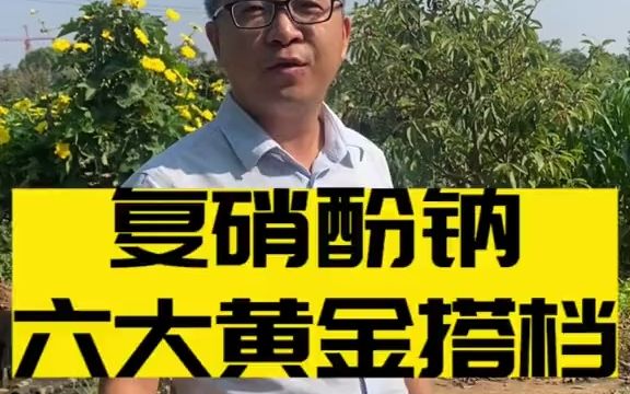 【新农村】复硝酚钠的六个黄金搭档,搭配使用效果更好!哔哩哔哩bilibili