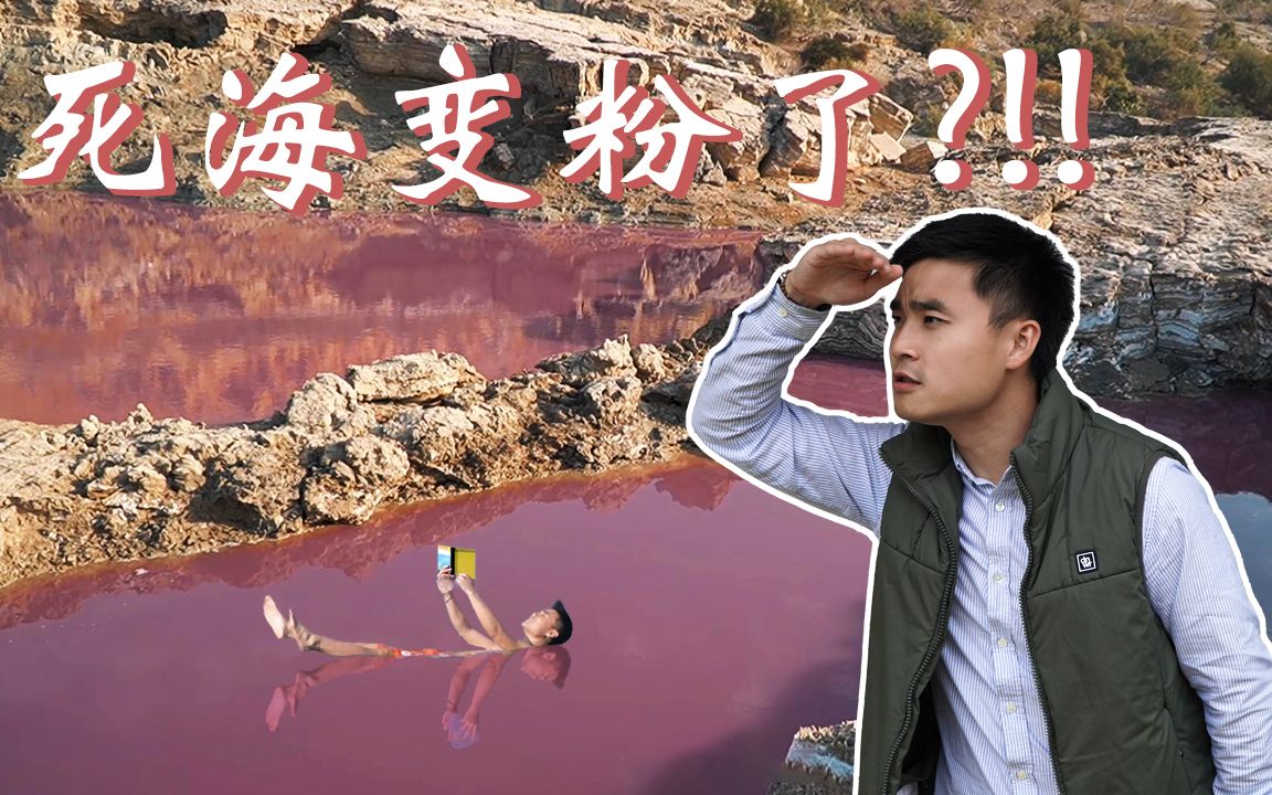 死海变粉了?探秘约旦死海神秘粉色湖泊!!哔哩哔哩bilibili