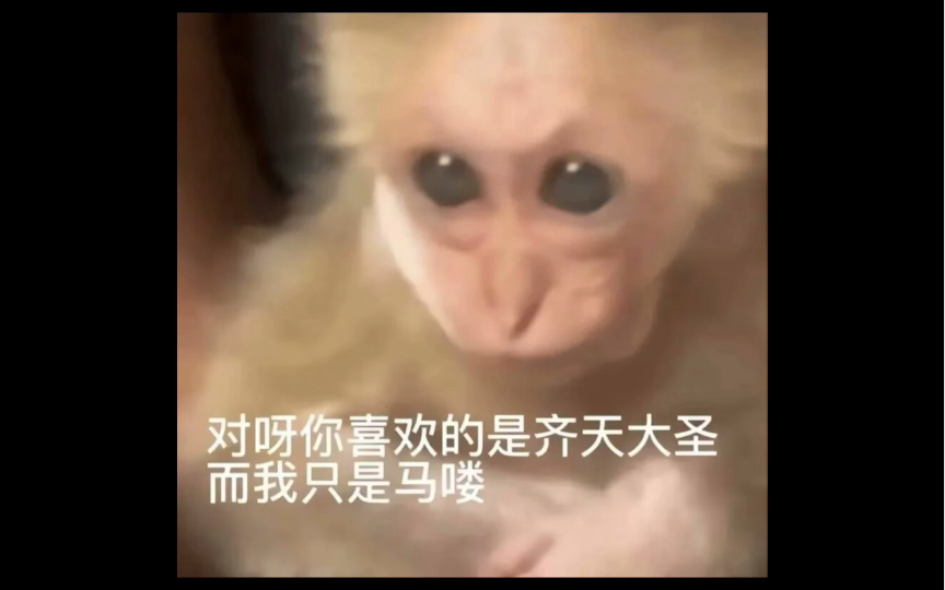 对呀你喜欢的是齐天大圣而我只是一只吗喽