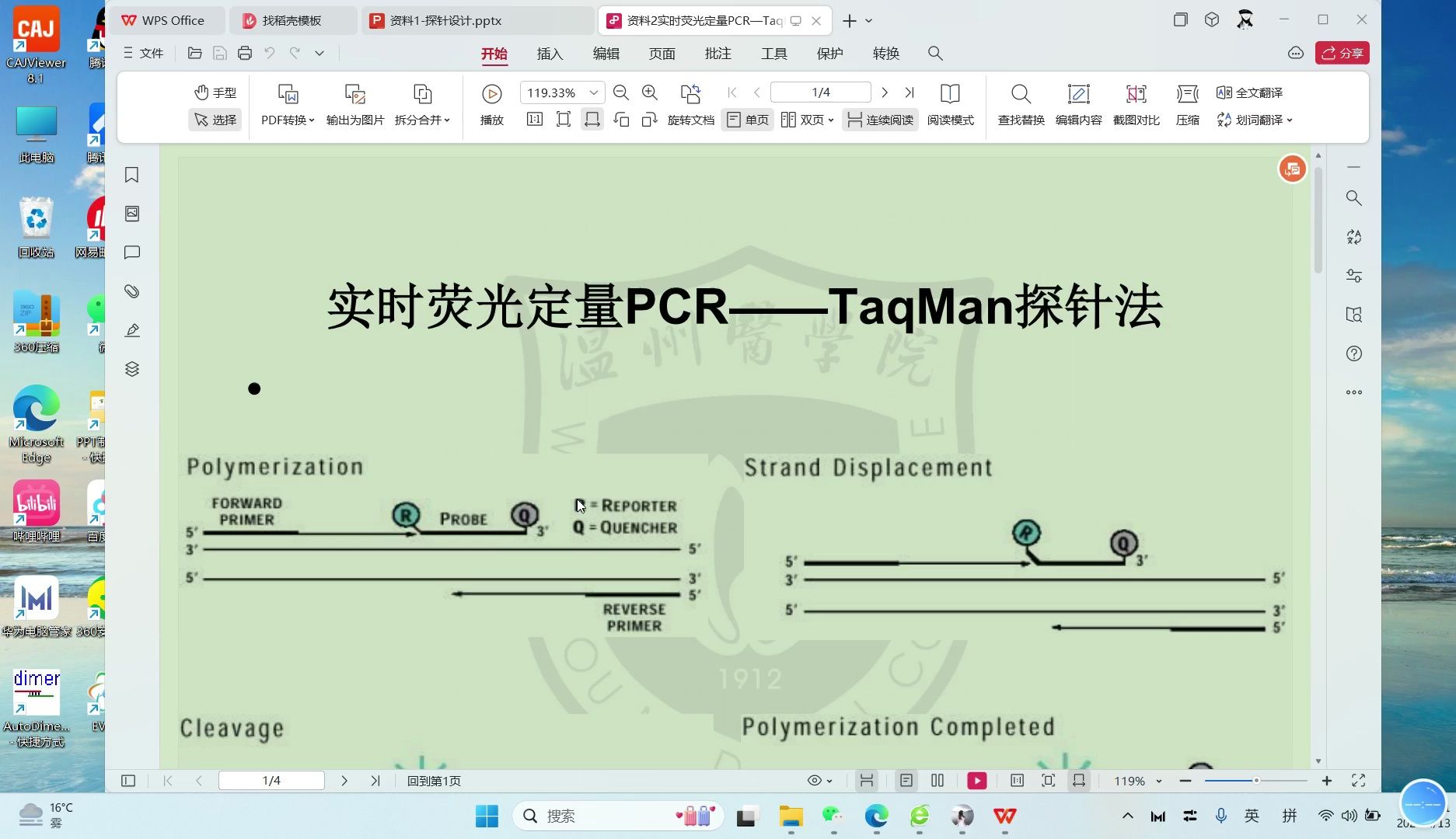 Taqman引物探针设计原则讲解哔哩哔哩bilibili