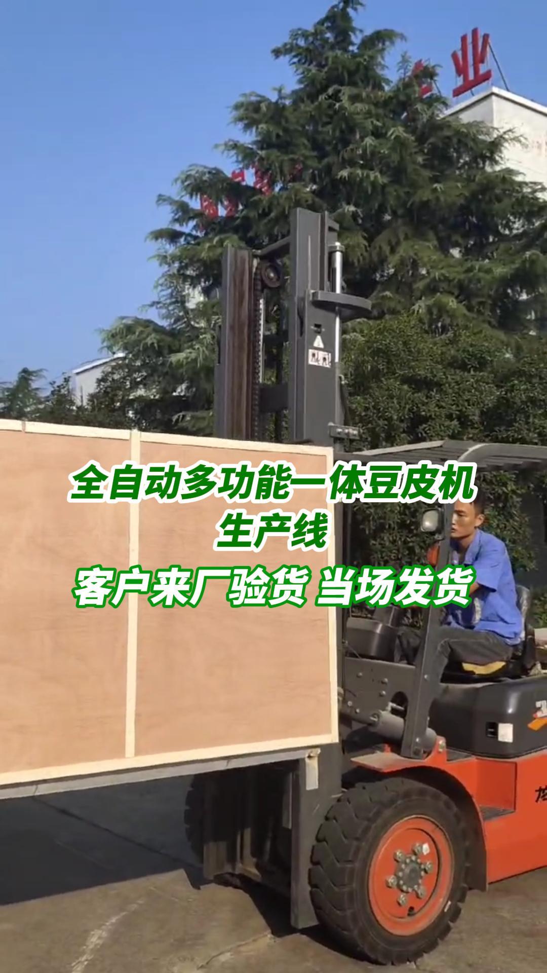 湖北多功能豆皮机价格环保节能