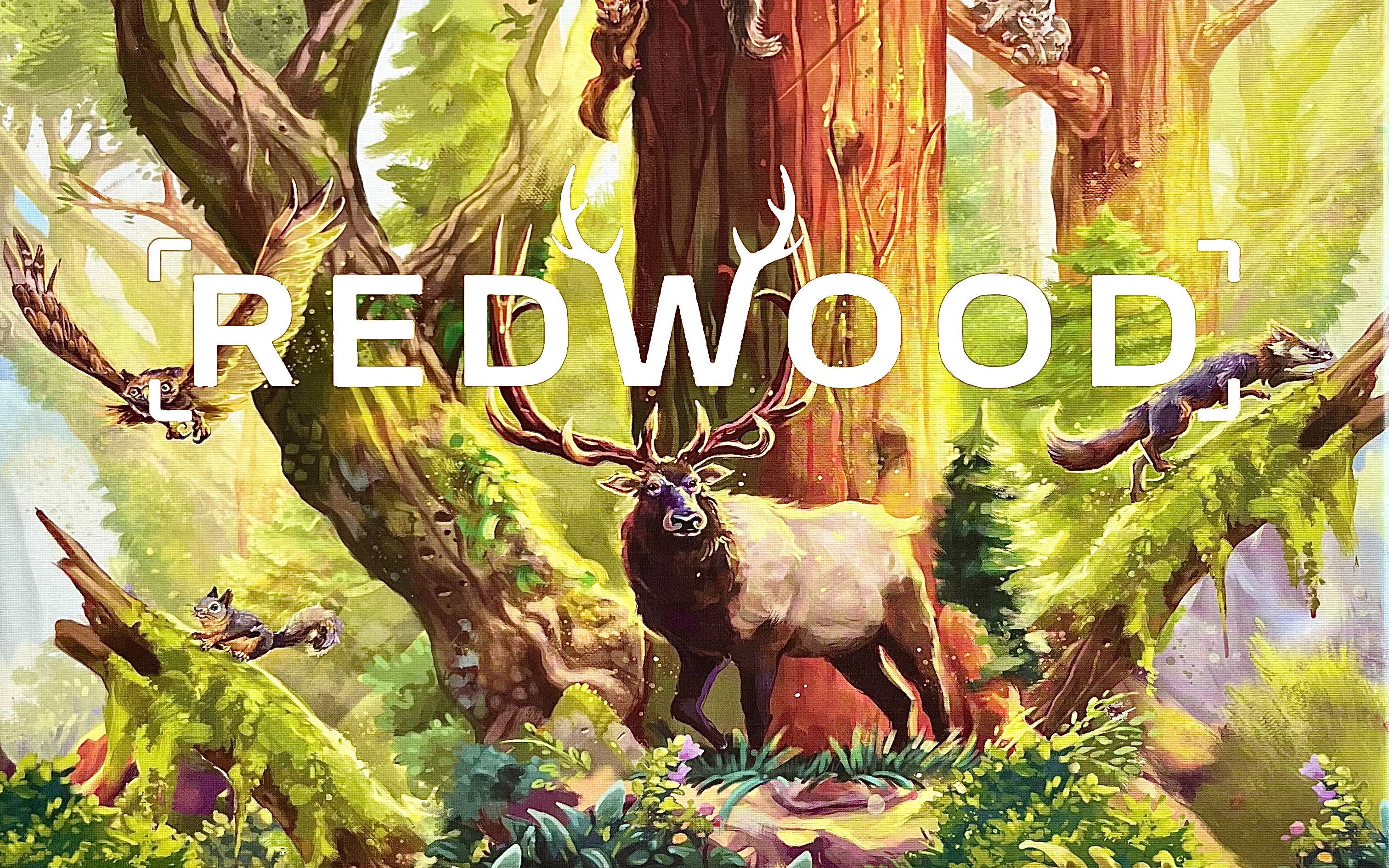 REDWOOD|红杉林|桌游|豪华版|收纳|闲聊|开箱哔哩哔哩bilibili