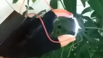 “彼养得功德”