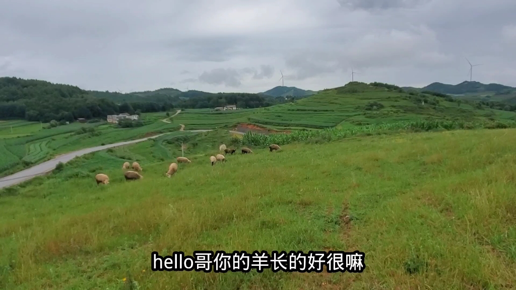 贵州六盘水摩旅去东北到达威宁县雪山镇,露营荒山野岭海拔高很冷哔哩哔哩bilibili