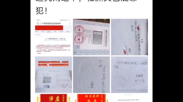 杜渊文不仅涉黑涉恶,还首例对抗国家公文!哔哩哔哩bilibili