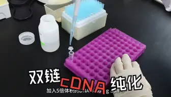 双链cDNA纯化，真滴是so easy！了