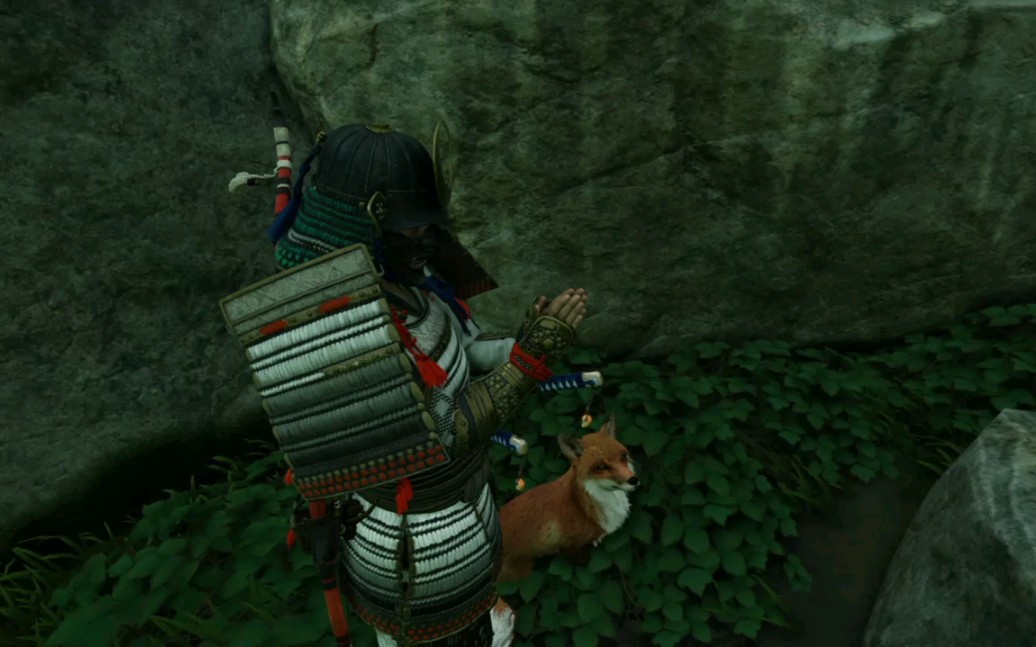 对马岛之魂小狐狸真可爱