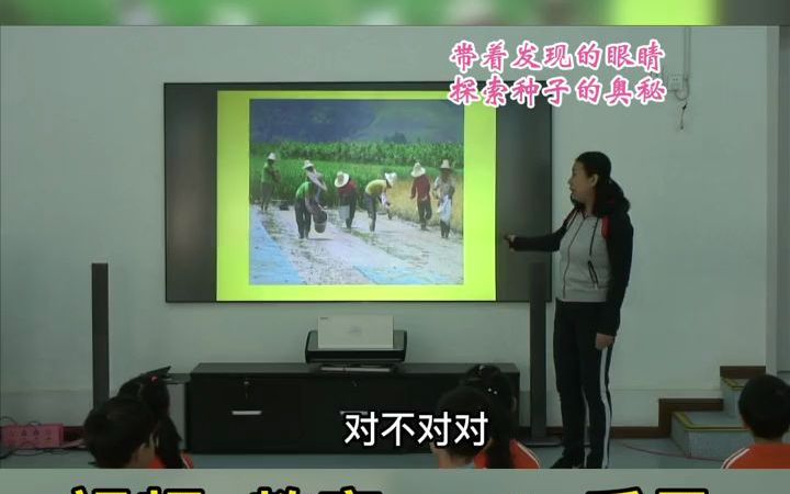 [图]幼儿园公开课_幼儿园大班科学《种子的旅行》幼儿园大班公开课 幼儿园大班 大班科学公开课 种子的旅行