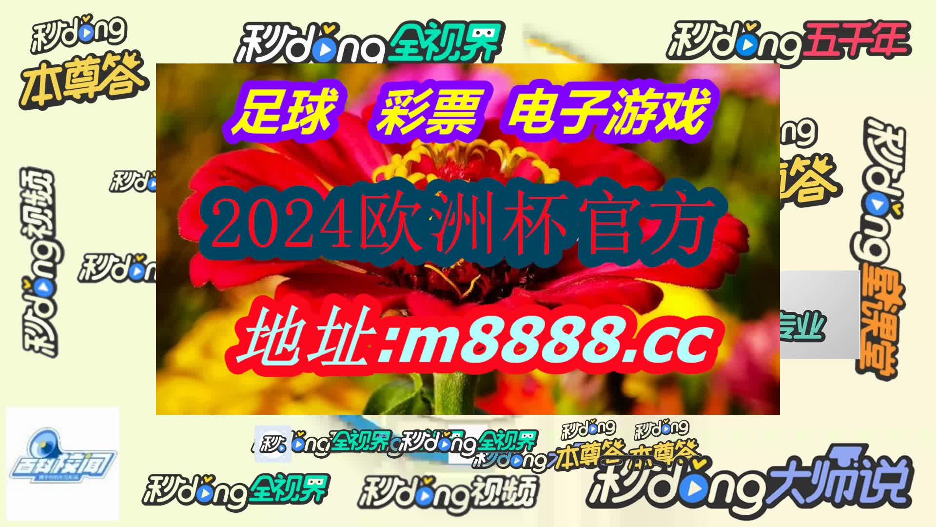 九游会ag真人官网(哔哩哔哩)851期