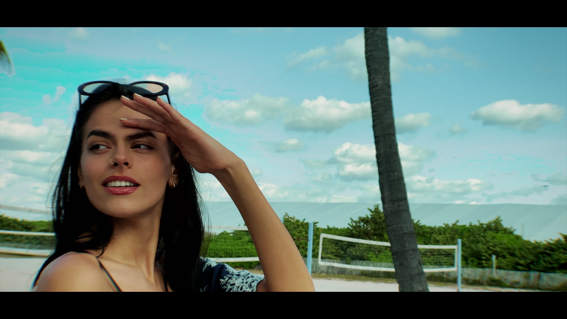 good life - charming horses 