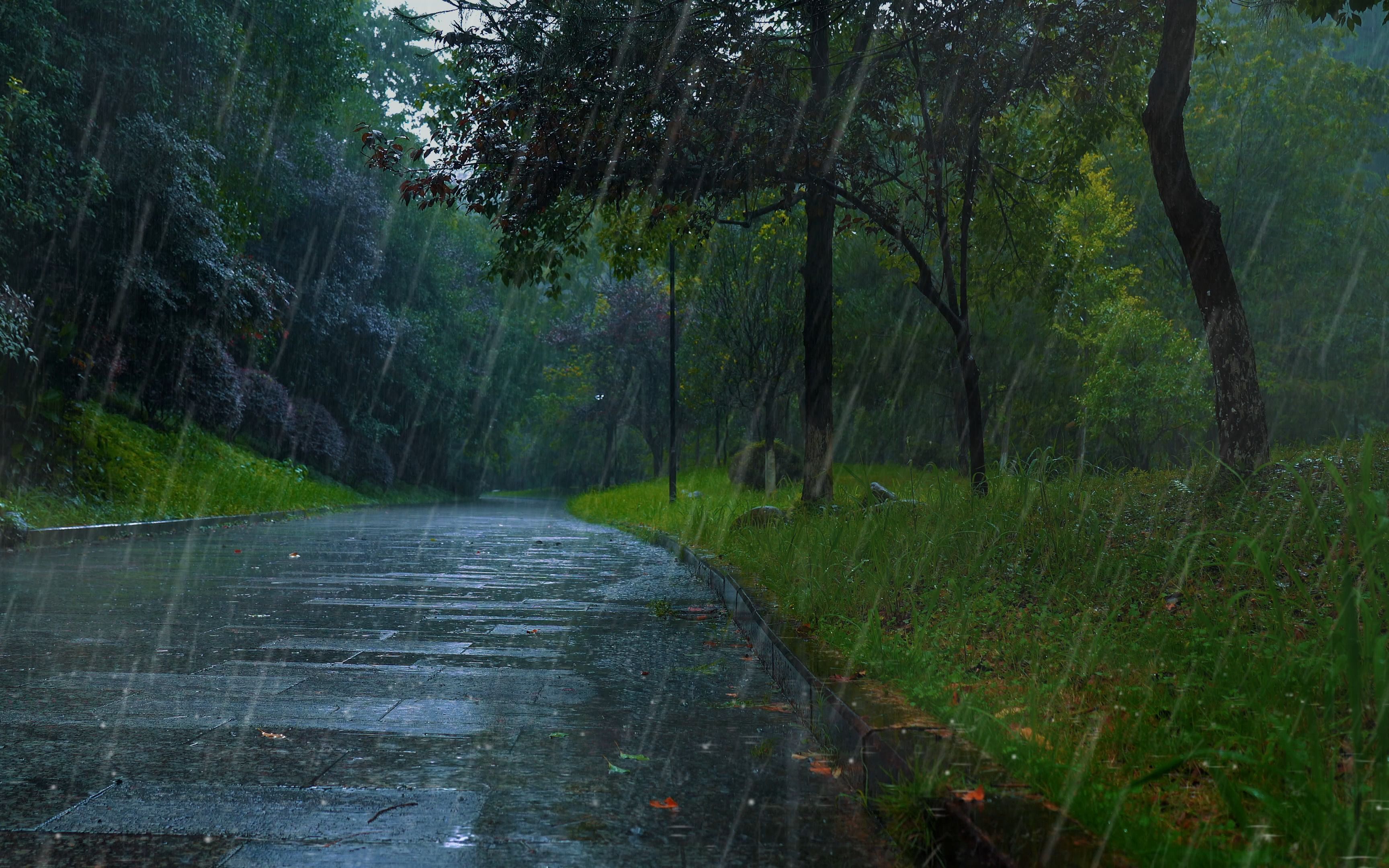 [图]🎵树林里的和风细雨伴你入睡！白噪音助眠自然音乐！PTSD，冥想打坐、学习作业环境音，宝宝吵闹助眠音乐，焦虑耳鸣、失眠神经衰弱者的福音！失眠睡不着有什么好的方法